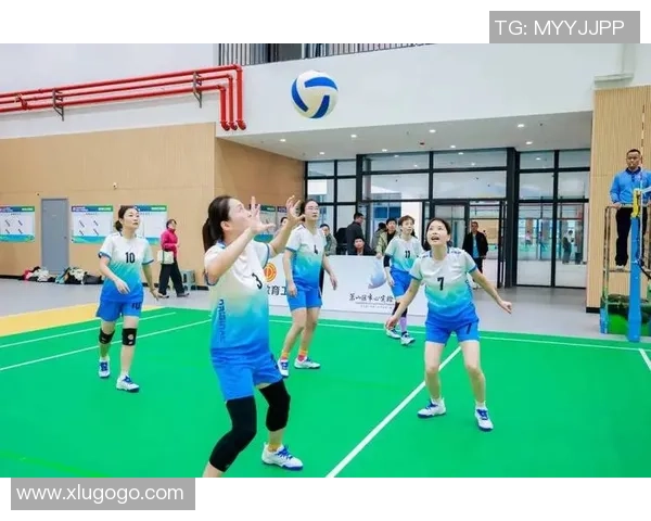 聚焦杭州排球队个人能力提升与团队协作的完美结合