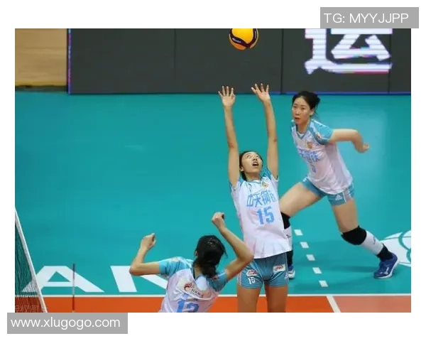 西安排球队整体压制体系的排球战术解析与应用探讨 西安排球队整体压制体系的排球战术解析与应用探讨