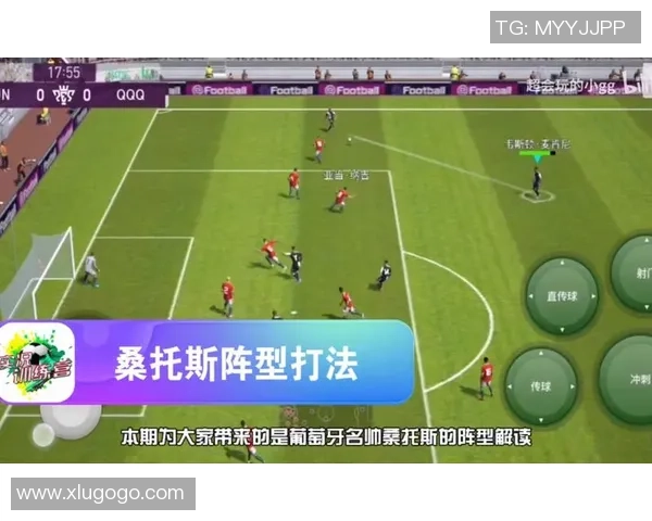 西安羽毛球队反击战术解析与实战应用探讨